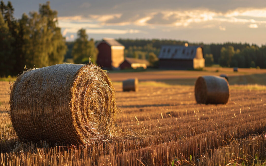 Suomalaiset yritykset tarvitsevat 2 miljardia euroa. Mistä se löytyy?